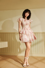 Load image into Gallery viewer, Venice Dress ( Blush )
